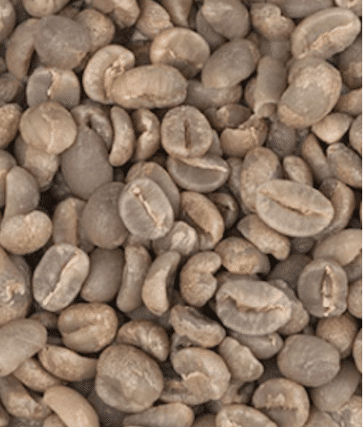 1 ק״ג קפה ירוק ברזיל Fazenda Sertão חד זני – Specialty Coffee Fazenda Sertão